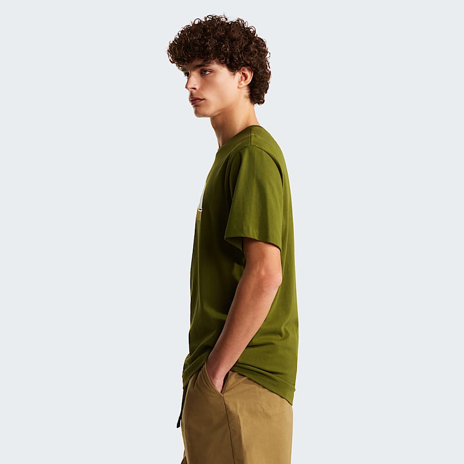 Tshirt Mountain Line Regular con grafica da uomo TNF ALT2