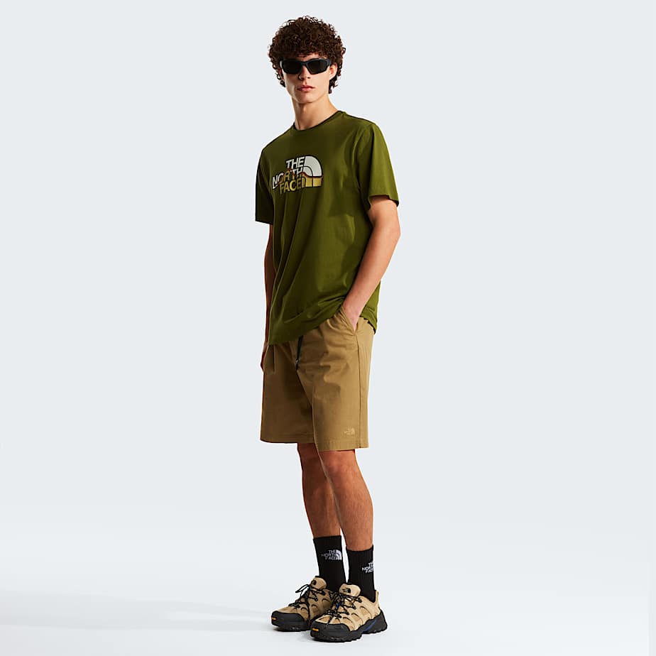 Tshirt Mountain Line Regular con grafica da uomo TNF ALT1