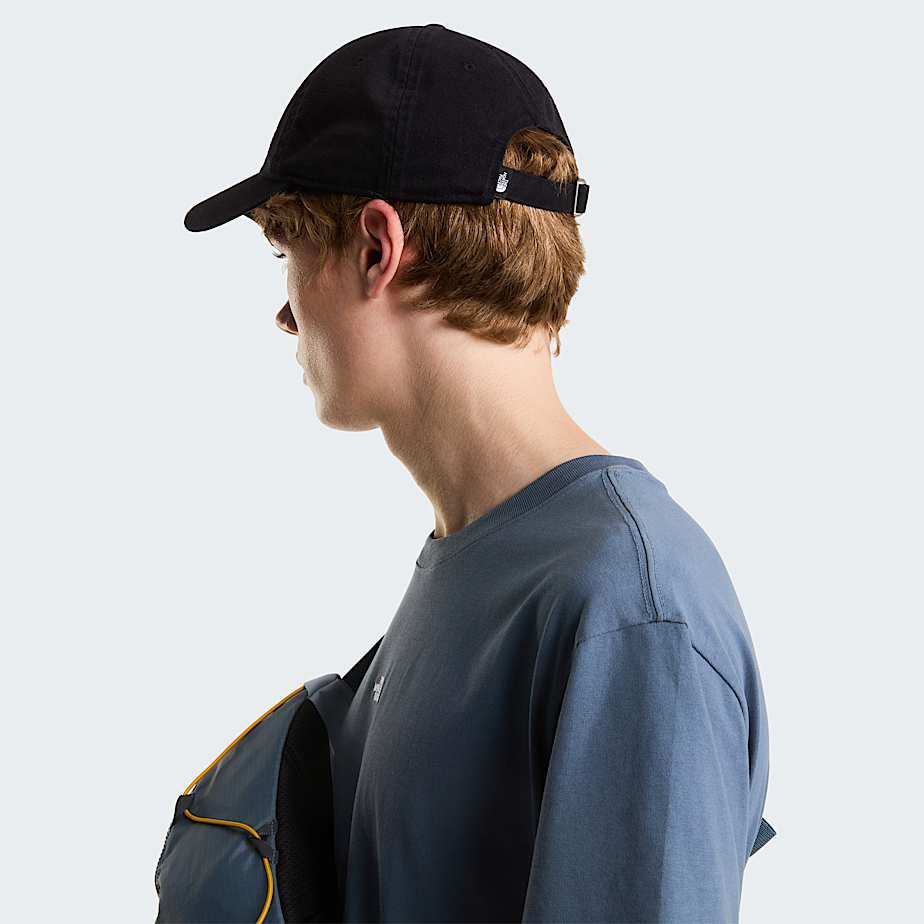 Gboka czapka z daszkiem Norm TNF ALT5