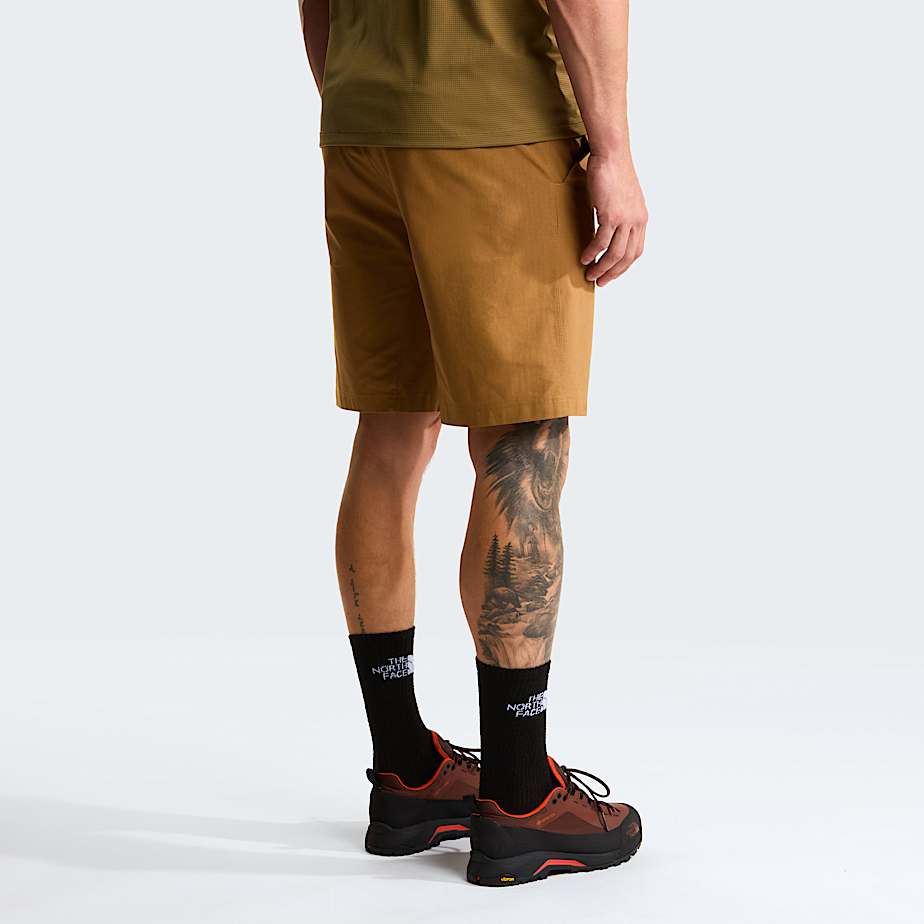 Pantaloncini Limestone da uomom TNF ALT3