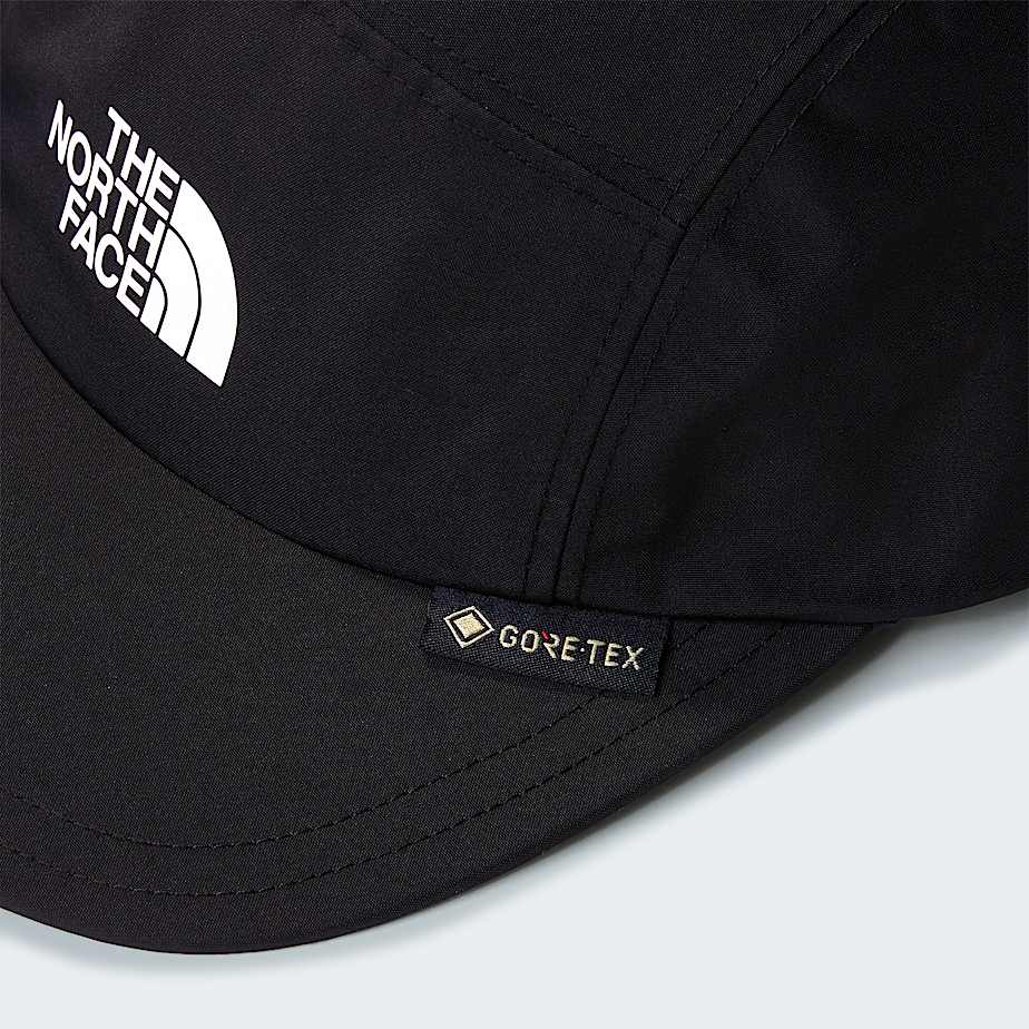 Cappellino GORETEX TNF ALT3