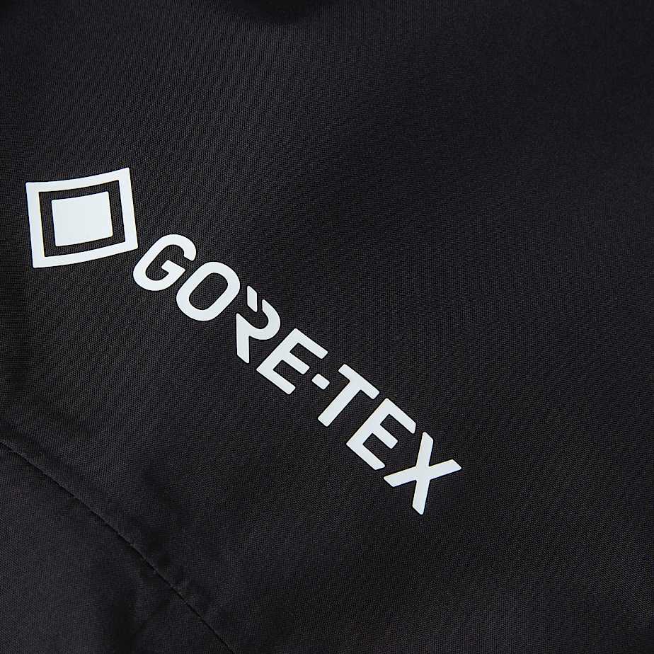 Womens Hike Devils Thumb GORETEX Jacket TNF ALT18