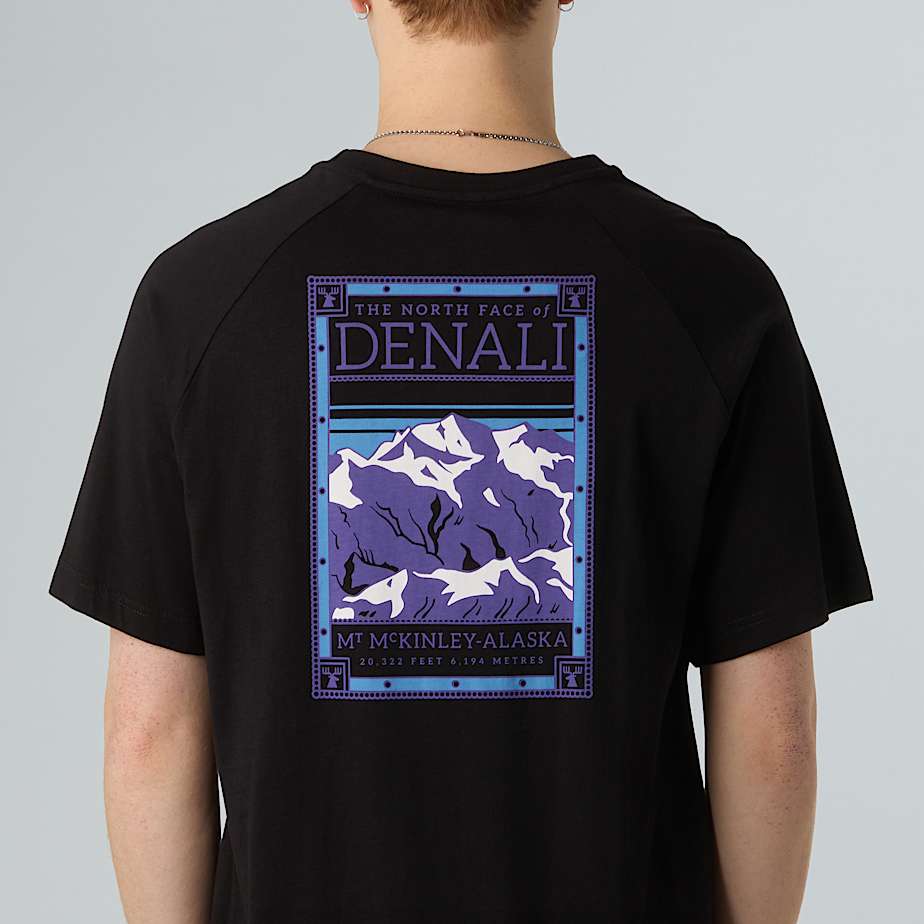 Mens North Faces TShirt TNF ALT8