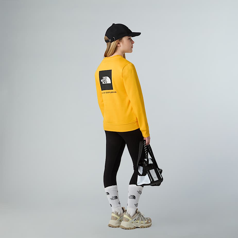 Teens NSE Box Sweatshirt TNF ALT10