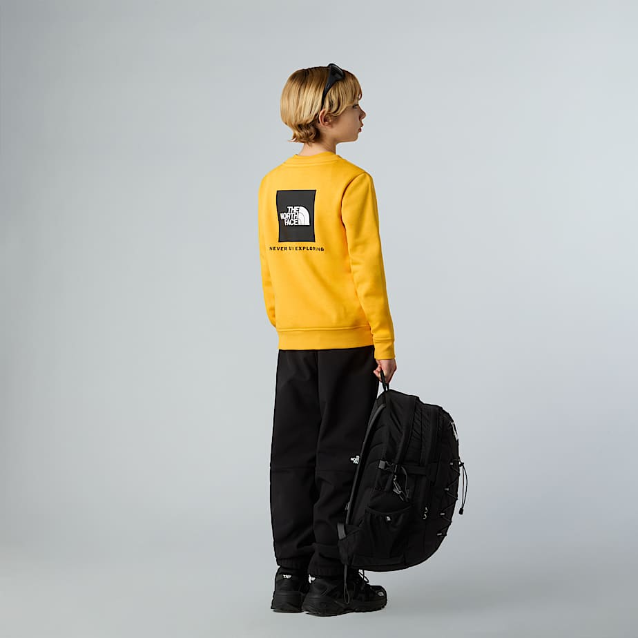 Teens NSE Box Sweatshirt TNF ALT5