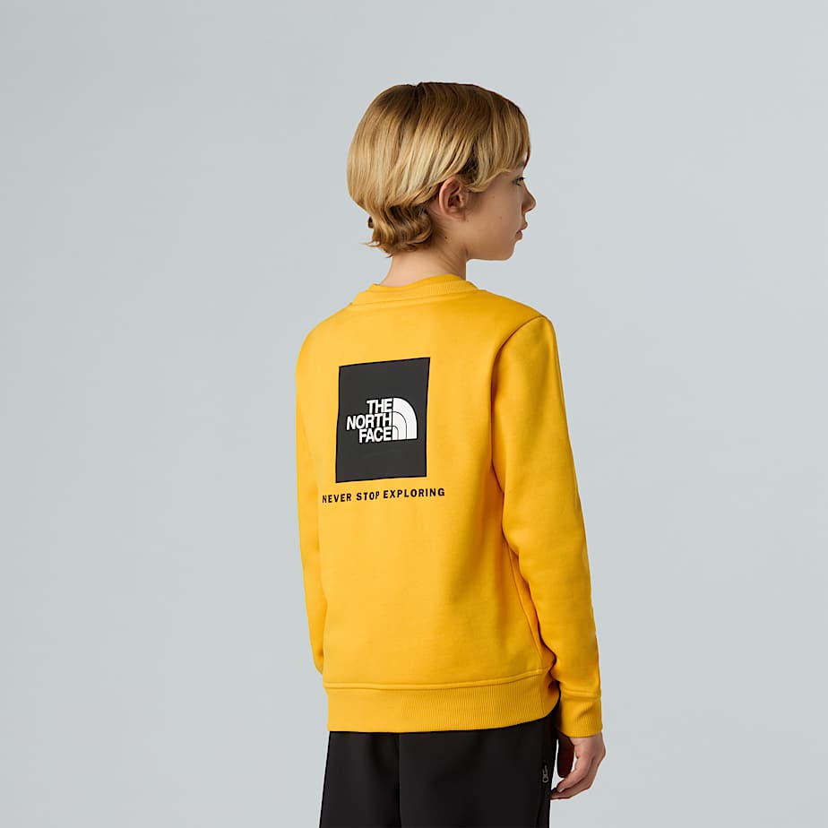Teens NSE Box Sweatshirt TNF ALT6