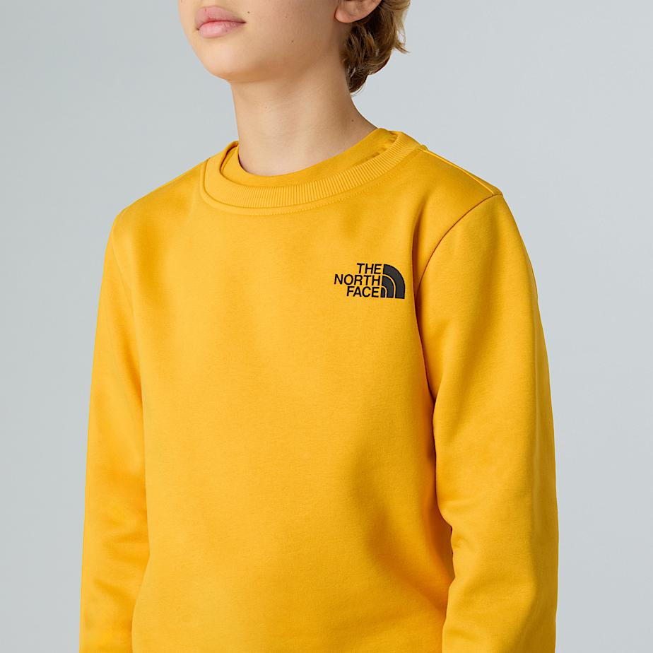 Teens NSE Box Sweatshirt TNF ALT7