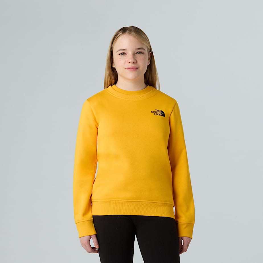 Teens NSE Box Sweatshirt TNF ALT9