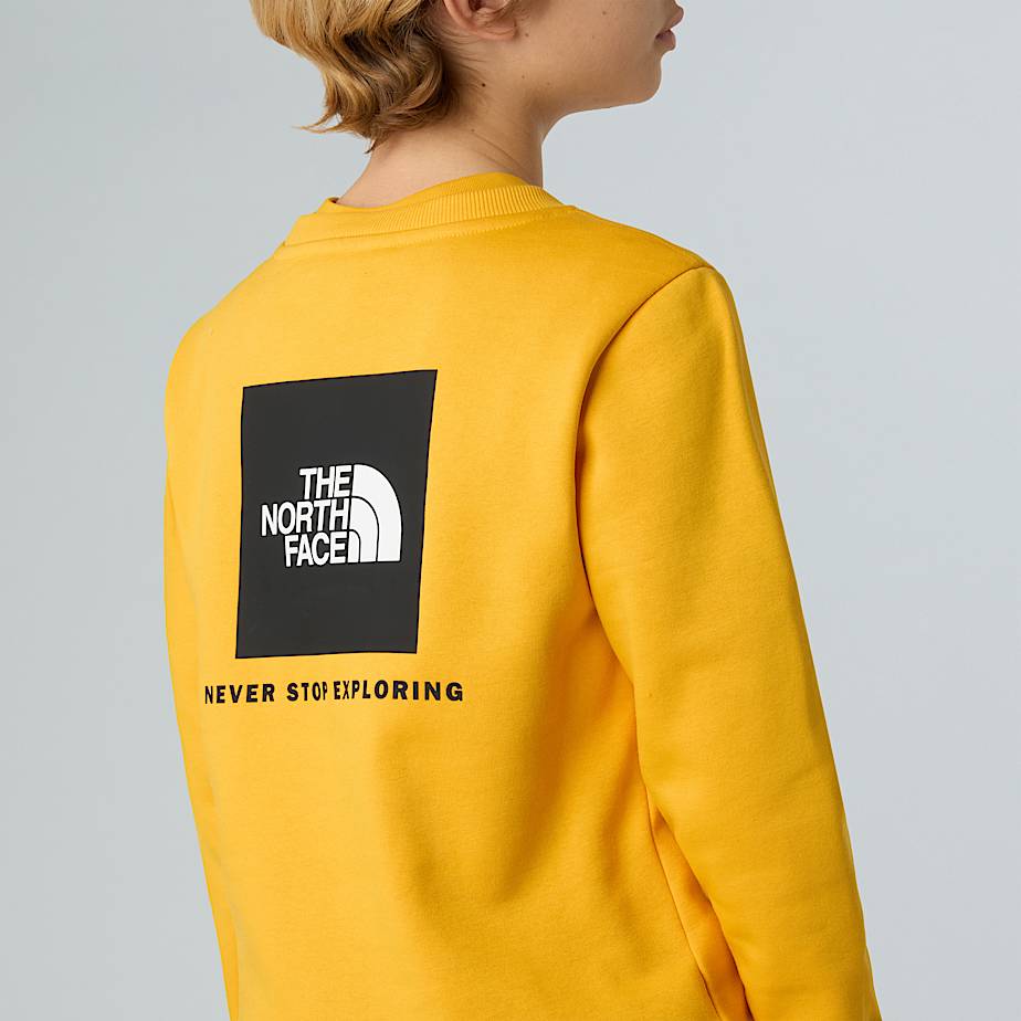 Teens NSE Box Sweatshirt TNF ALT8