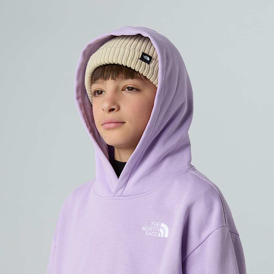 Essential Kapuzenpulli in Oversize fr Jugendliche TNF ALT9