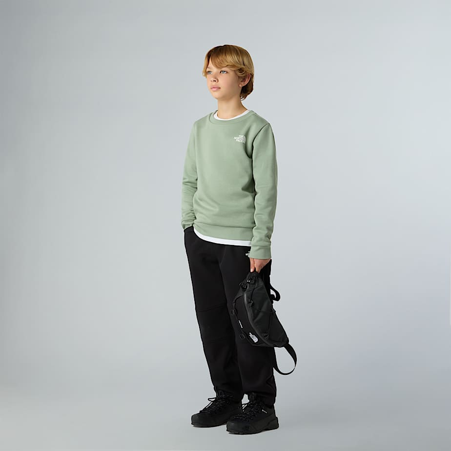 Teens Simple Dome Sweatshirt TNF ALT5