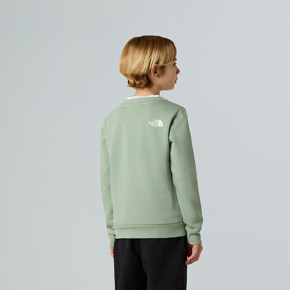 Teens Simple Dome Sweatshirt TNF ALT6