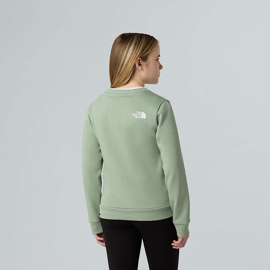 Teens Simple Dome Sweatshirt TNF ALT9