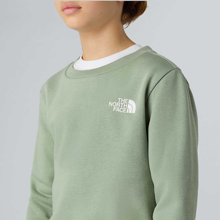 Teens Simple Dome Sweatshirt TNF ALT7