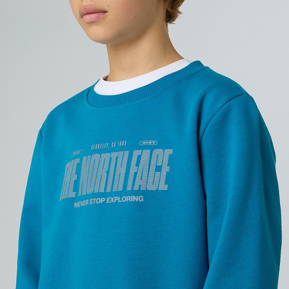 Logo reflektierendes  relaxt geschnittenes Sweatshirt fr Jungen TNF ALT7