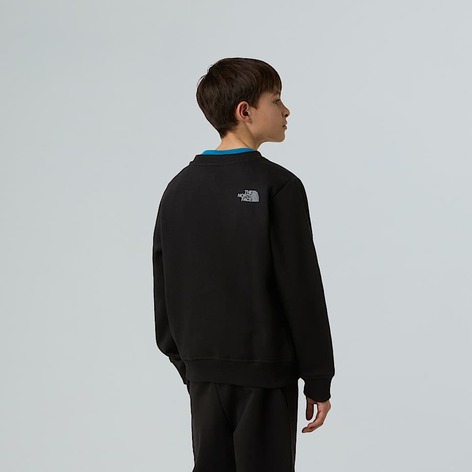 Felpa Reflective Logo Relaxed da ragazzo TNF TNF Black ALT6