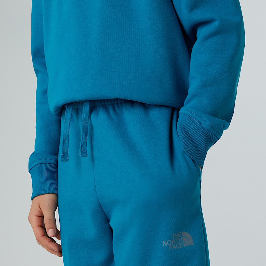 Logo reflektierende Jogginghose fr Jungen TNF ALT8