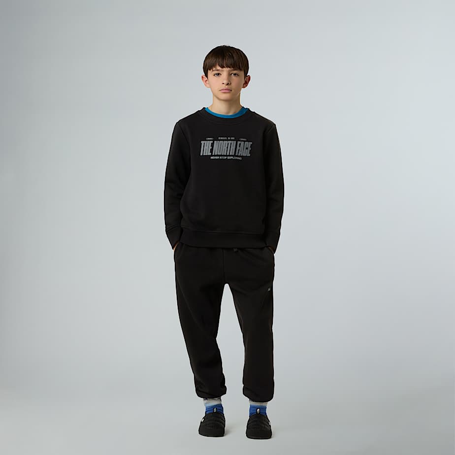 Boys Reflective Logo Joggers TNF ALT5