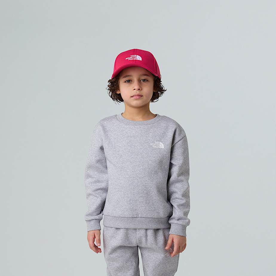 Set in pile Simple Dome da bambini TNF TNF Light Grey Heather ALT5