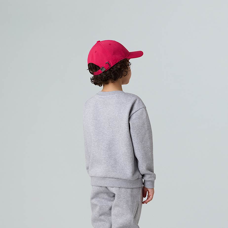 Set in pile Simple Dome da bambini TNF TNF Light Grey Heather ALT6