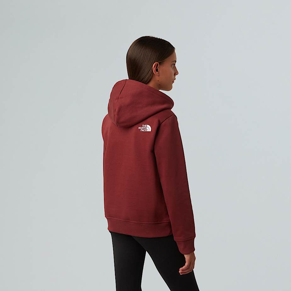 Teens Drew Peak Pullover Hoodie TNF ALT10