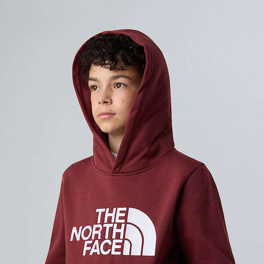 Teens Drew Peak Pullover Hoodie TNF ALT7