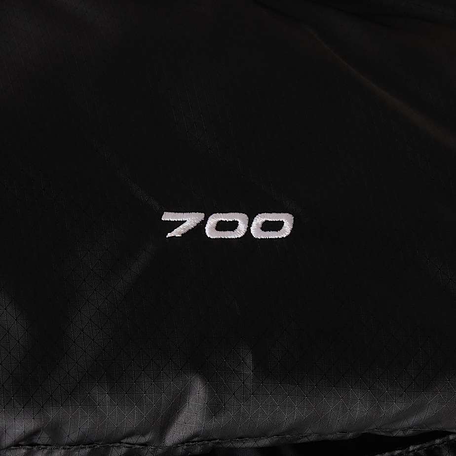 Mens Diablo Down 20 Gilet TNF ALT24