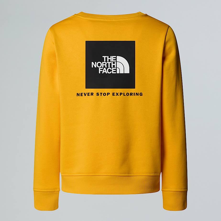 Teens NSE Box Sweatshirt TNF ALT1