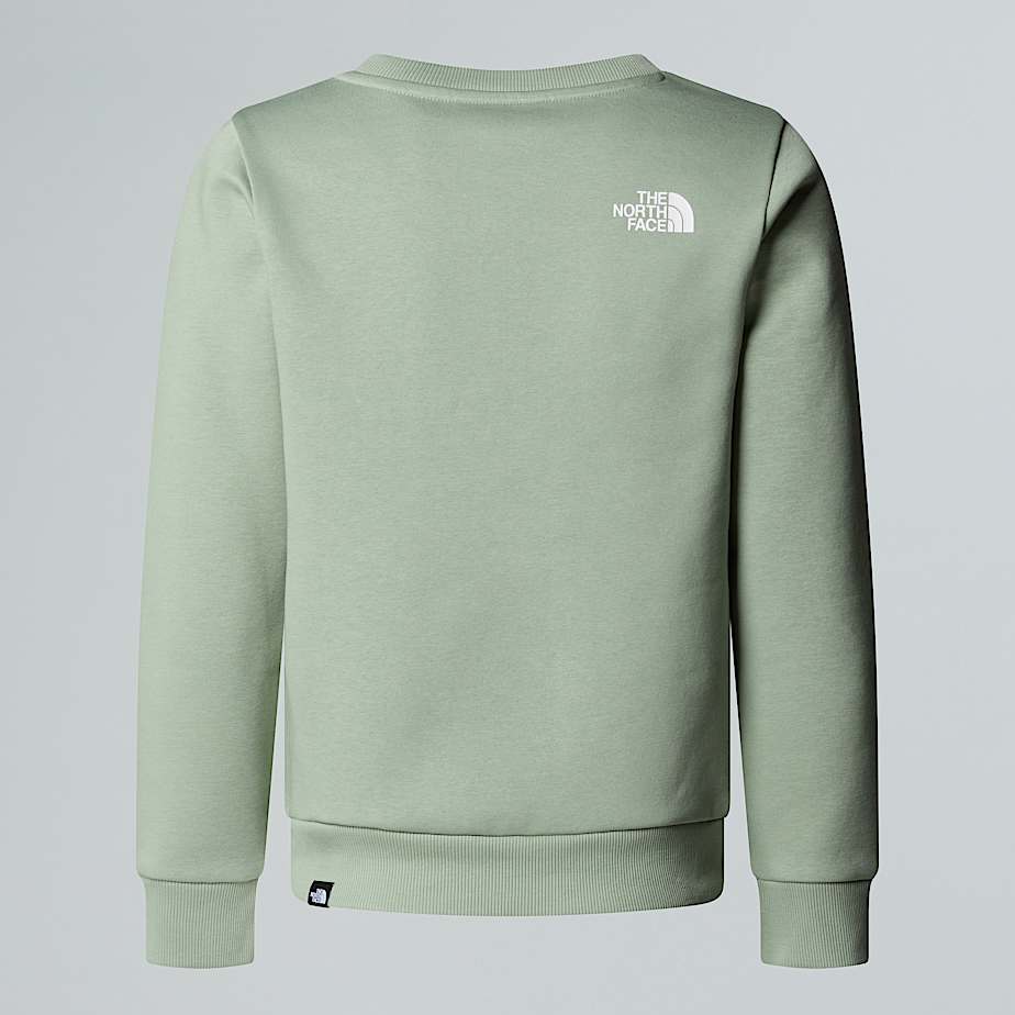 Teens Simple Dome Sweatshirt TNF ALT1
