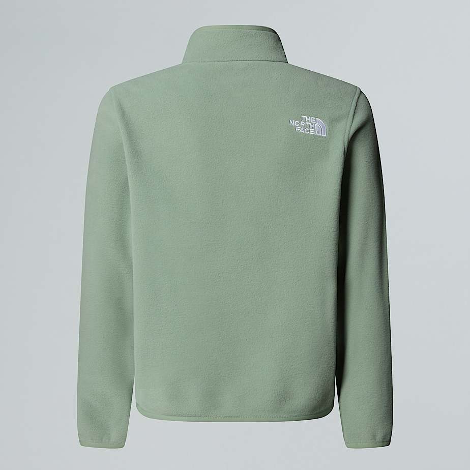 Teens Glacier 14 Zip Fleece TNF ALT1
