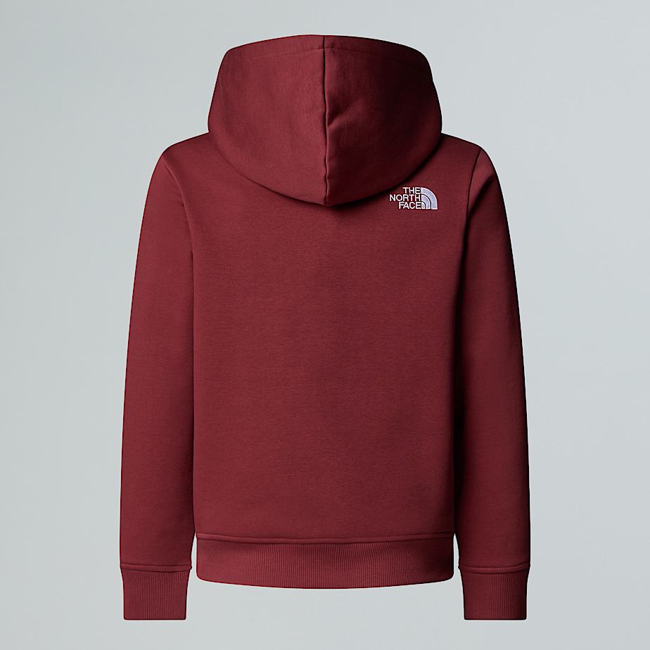 Teens Drew Peak Pullover Hoodie TNF ALT1