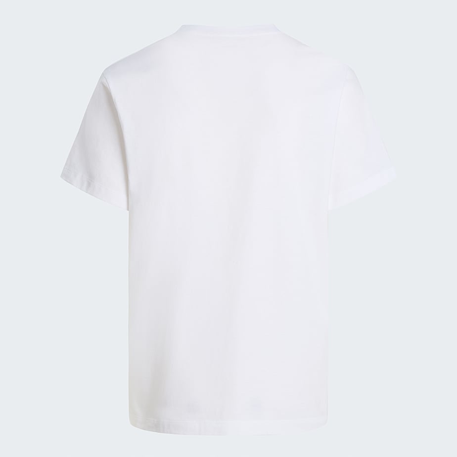 Evolution Half Dome TShirt Herren TNF ALT21