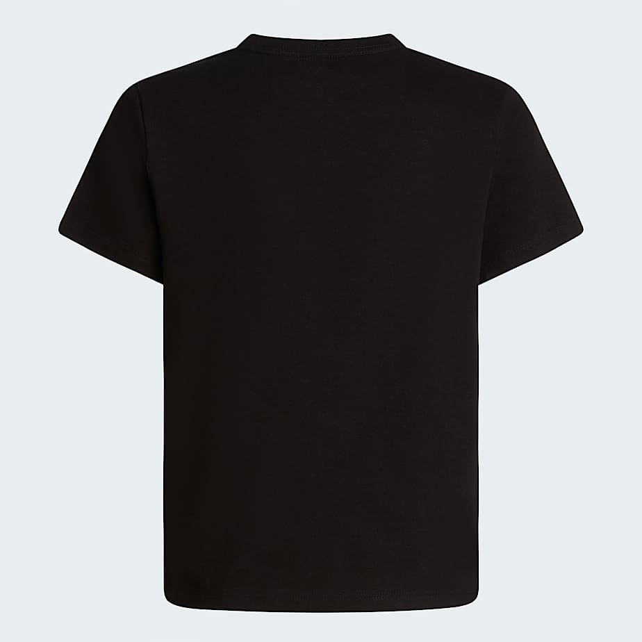Teens' Evolution Half Dome T-Shirt