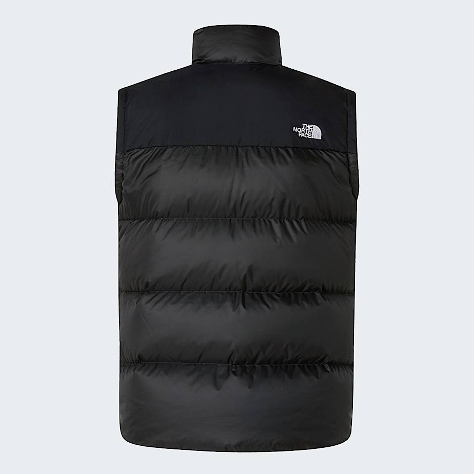 Mens Diablo Down 20 Gilet TNF ALT21