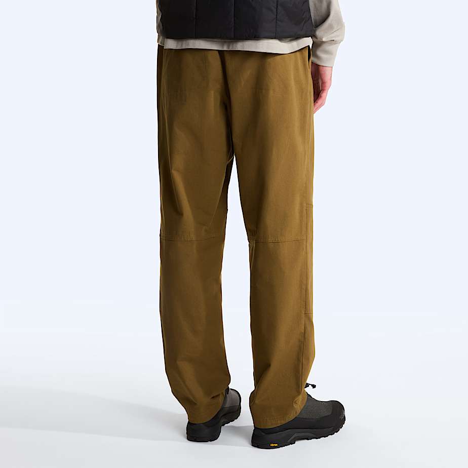 Pantaloni Beta Utility Belted larghi da uomo TNF Caraway Seed ALT3