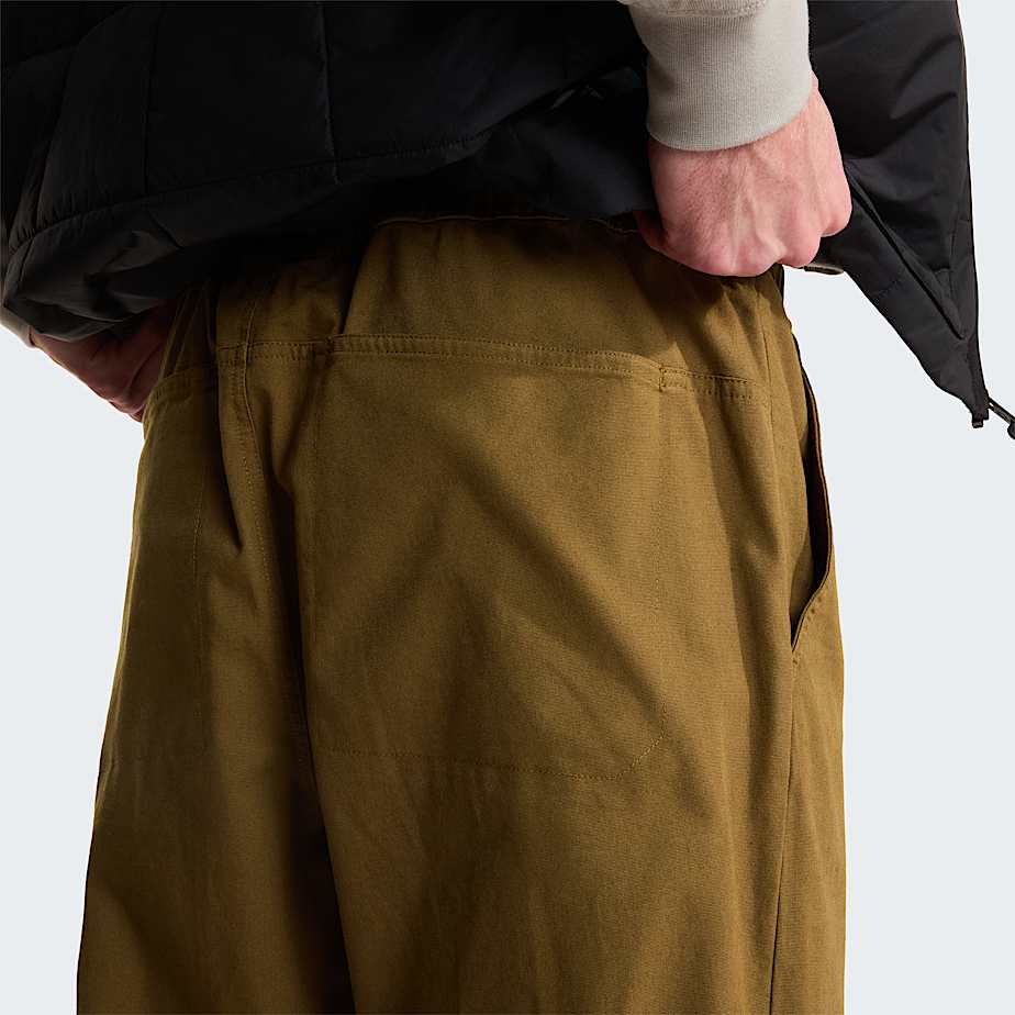 Pantaloni Beta Utility Belted larghi da uomo TNF Caraway Seed ALT6