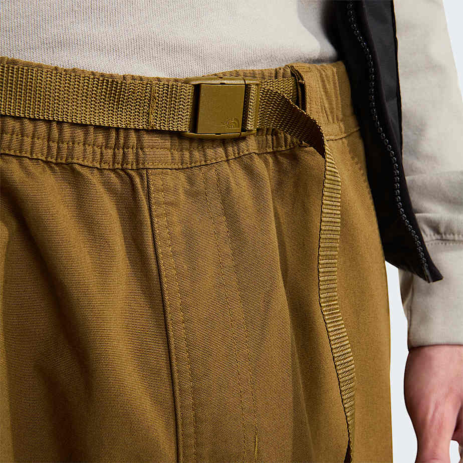 Pantaloni Beta Utility Belted larghi da uomo TNF Caraway Seed ALT4