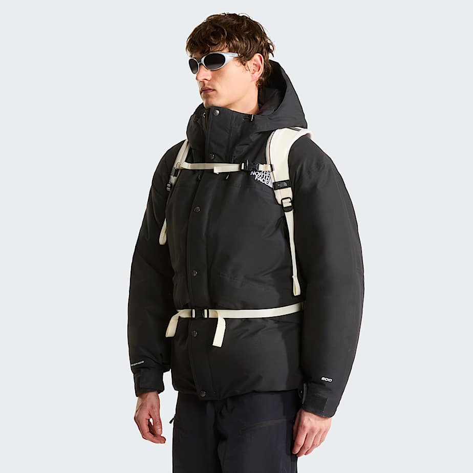Sac  dos Borealis  cussons pour femme TNF ALT7