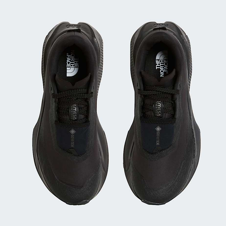 Womens Altamesa 500 V2 GORETEX Shoes TNF ALT1