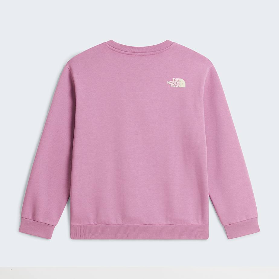 Sweat graphique dcontract Chalbi pour fille TNF ALT31