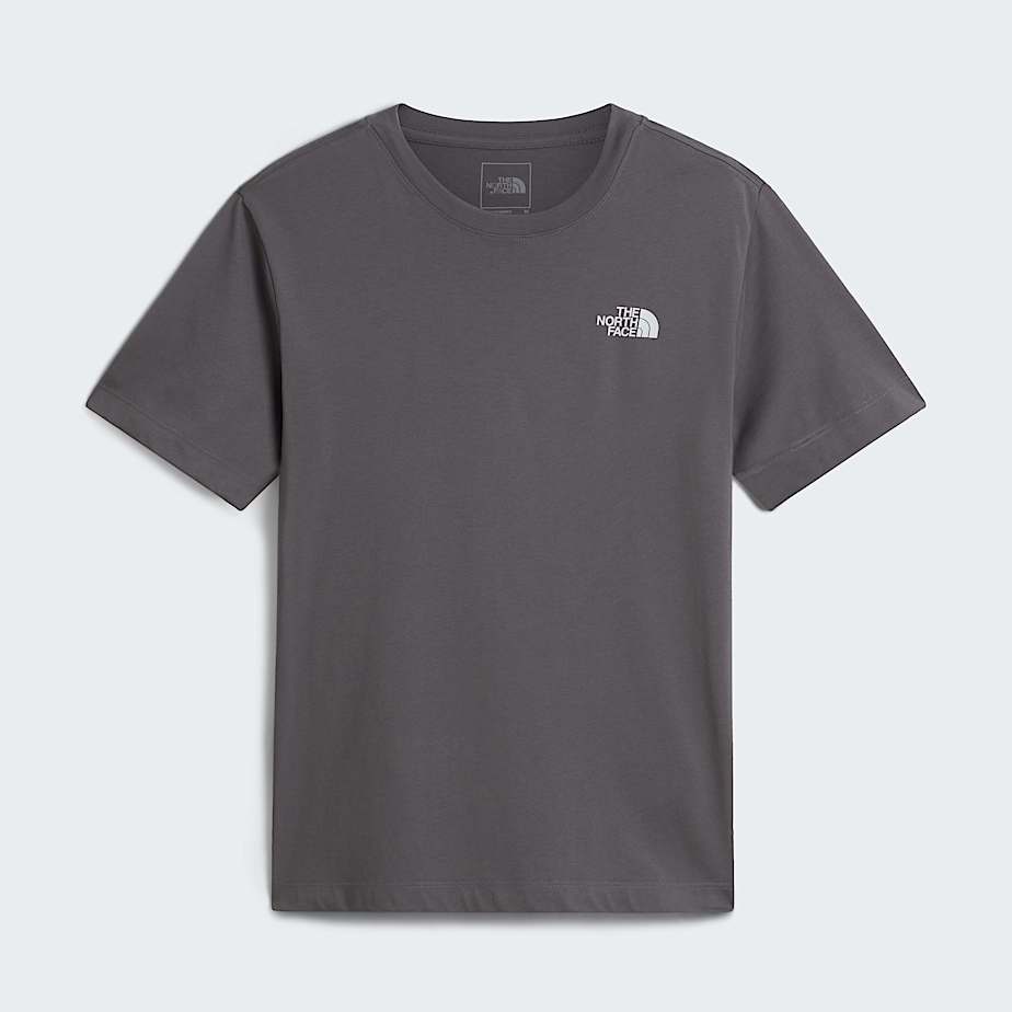 Tshirt Vertical Regular con grafica da uomo TNF ALT30