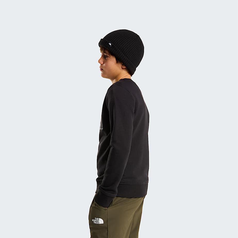 Drew Peak Crew Neck Sweatshirt Junior TNF ALT2