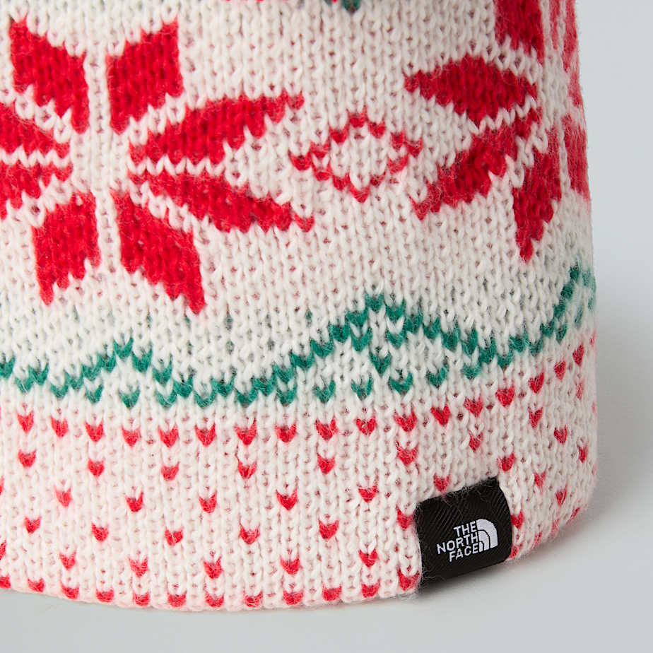 Cabin Ski Tuke Beanie and Scarf Set TNF ALT2