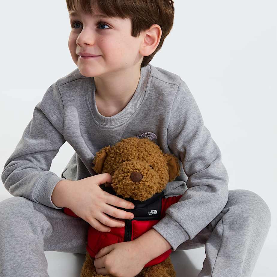 Kids Evolution Simple Dome Crew Set TNF ALT10
