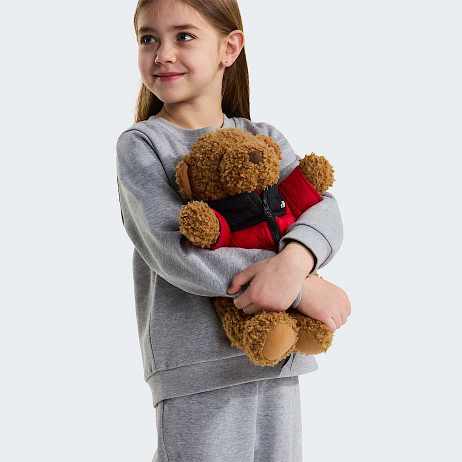 Kids Evolution Simple Dome Crew Set TNF ALT20