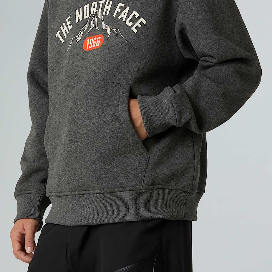 Felpa con cappuccio Varsity con grafica da uomo TNF ALT8