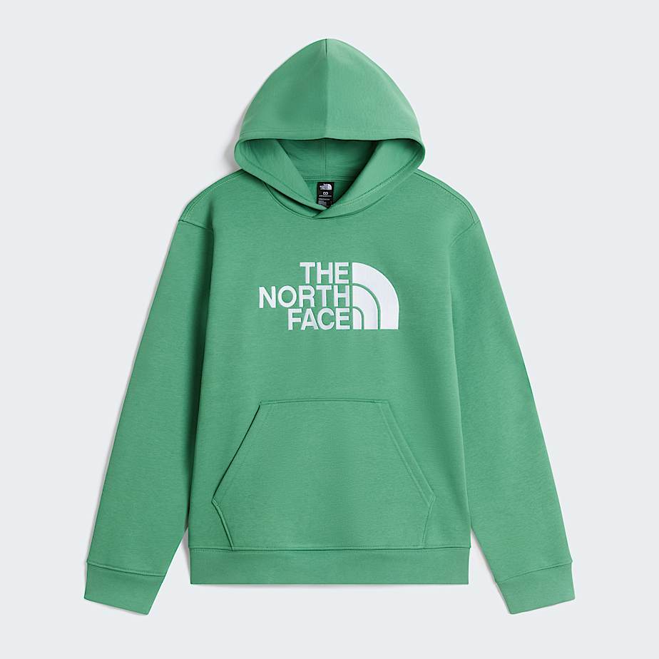 Teens TNF Essential Drew Peak Hoodie TNF ALT30