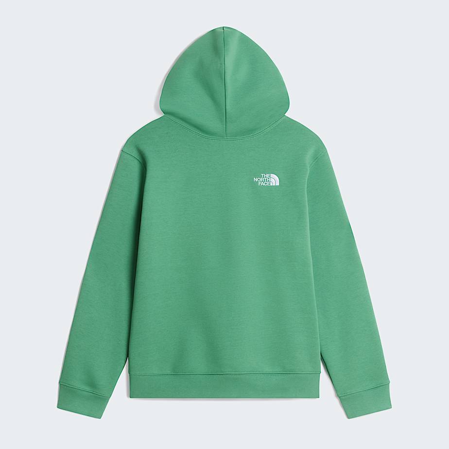 Teens TNF Essential Drew Peak Hoodie TNF ALT31