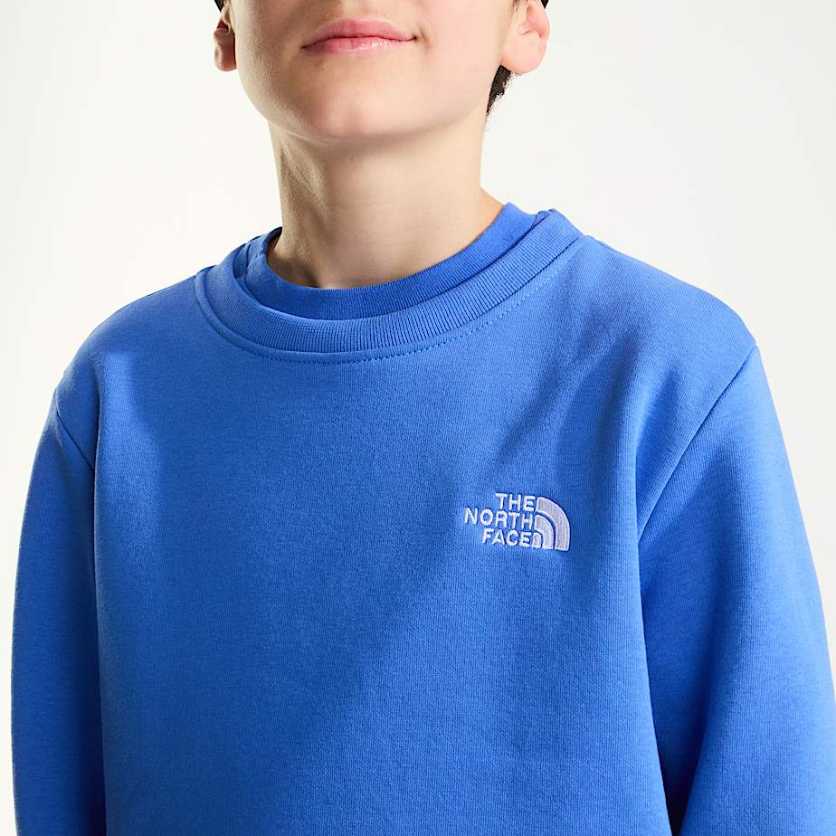 Felpa Evolution Simple Dome da ragazzi TNF ALT4