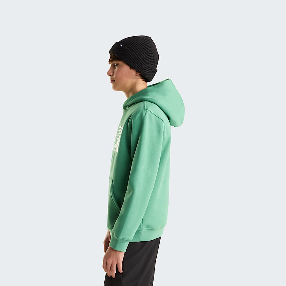 Teens TNF Essential Drew Peak Hoodie TNF ALT2